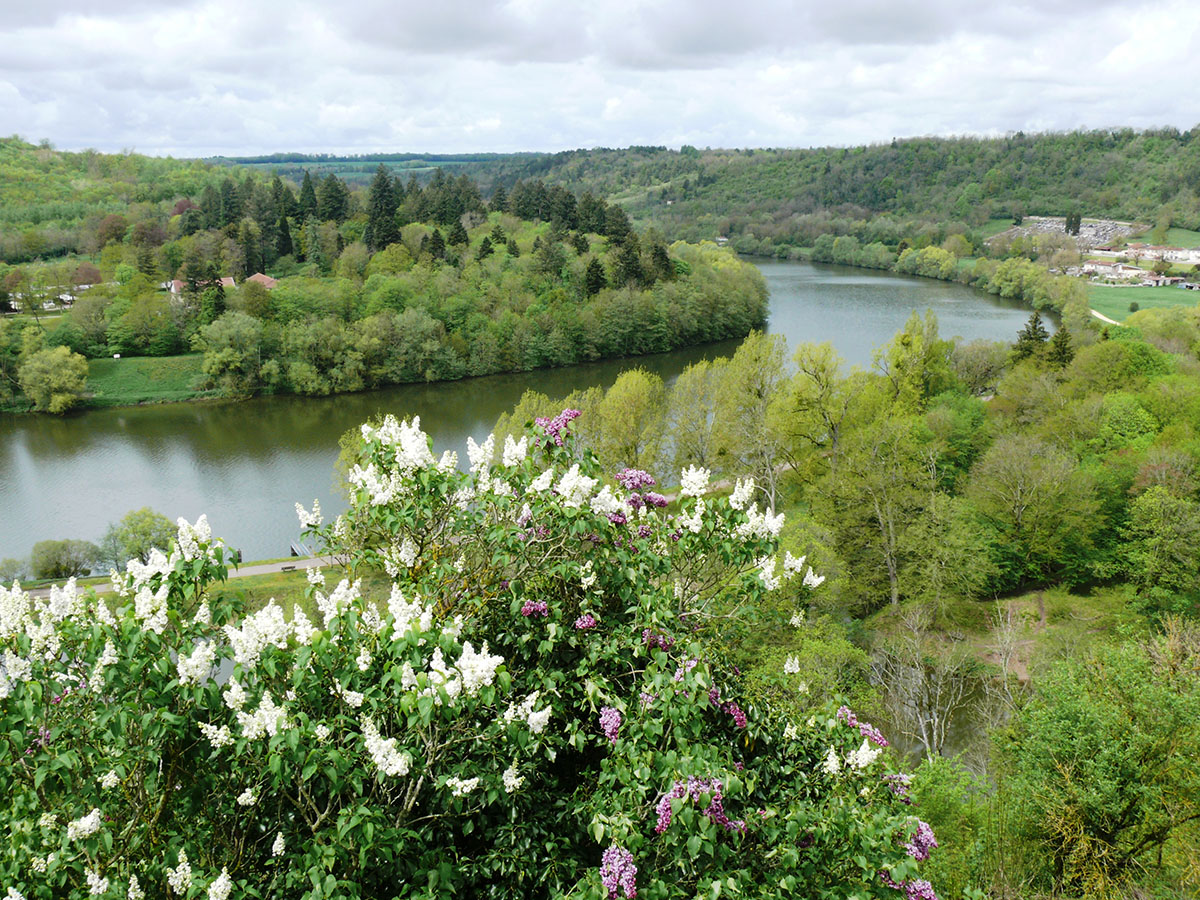 telephone-pulligny-meurthe-et-moselle