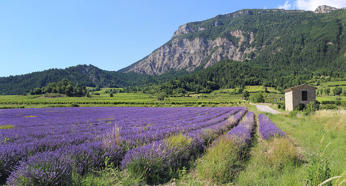 telephone-puy-saint-martin-drome